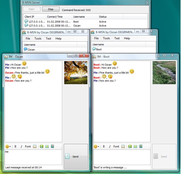 An example screenshot of the B-MSN
